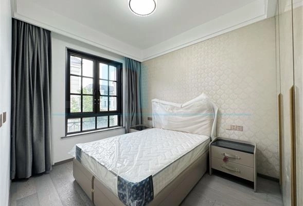 灿辉晶典1733102号(22)