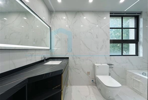 灿辉晶典1733102号(23)