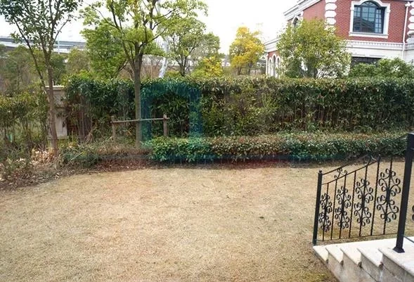 东郊紫园103号(5)