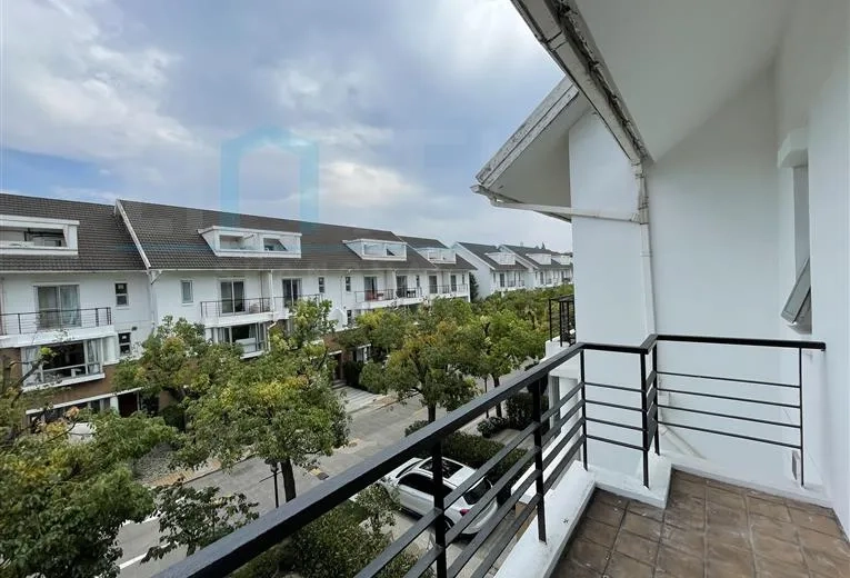 温莎豪园26号(11)