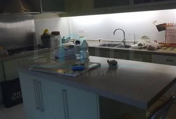 湖畔佳苑280号(5)