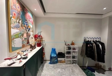 灿辉晶典17333号(16)