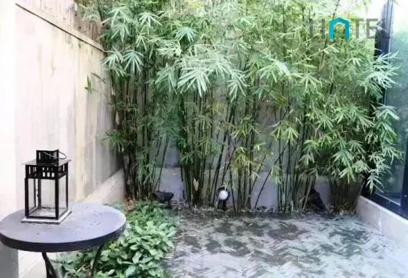 愚园路483弄30号(5)