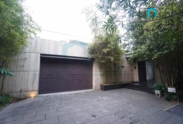 九间堂56号