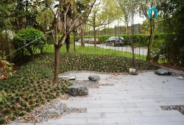 云间绿大地68号(5)