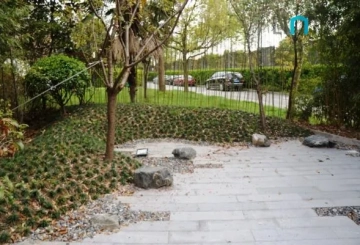 云间绿大地68号(5)