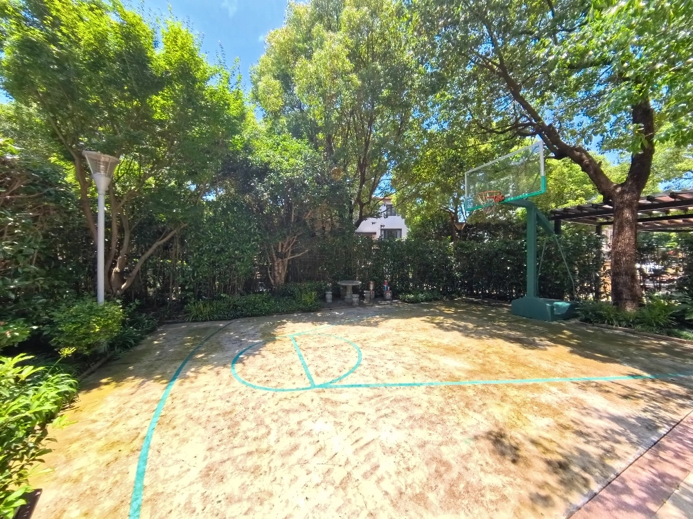 大华西郊别墅7号(5)