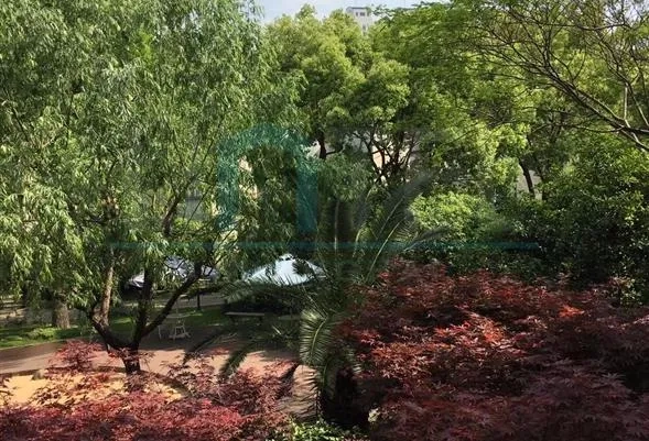静鼎安邦府邸10号101室(6)