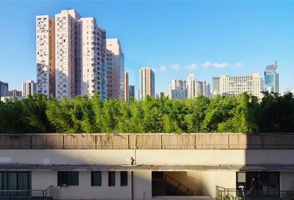 延平路123弄1号10C室(9)