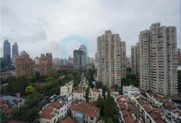 淮海中路1950弄2号13F室(14)