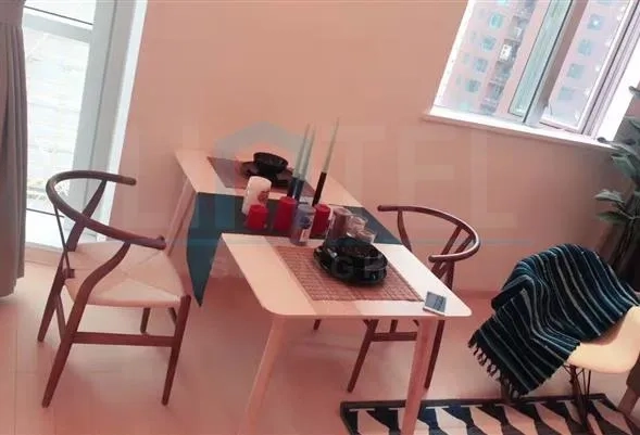 爱俪轩1503室(2)