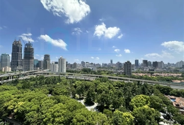 中凯城市之光D1号19A室(3)