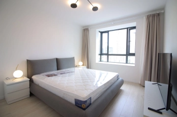 国际丽都城H1号2503室(5)