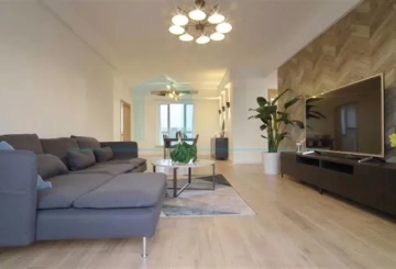 国际丽都城18号2901室(2)