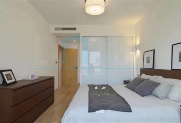 国际丽都城18号2901室(5)