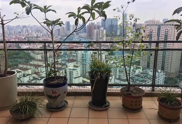 仁恒河滨花园27号3202室(2)