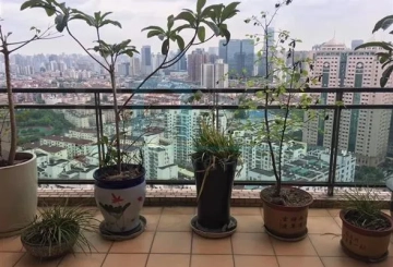 仁恒河滨花园27号3202室(2)