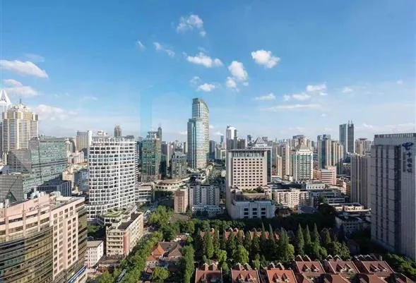 国际丽都城H2号3401室(8)