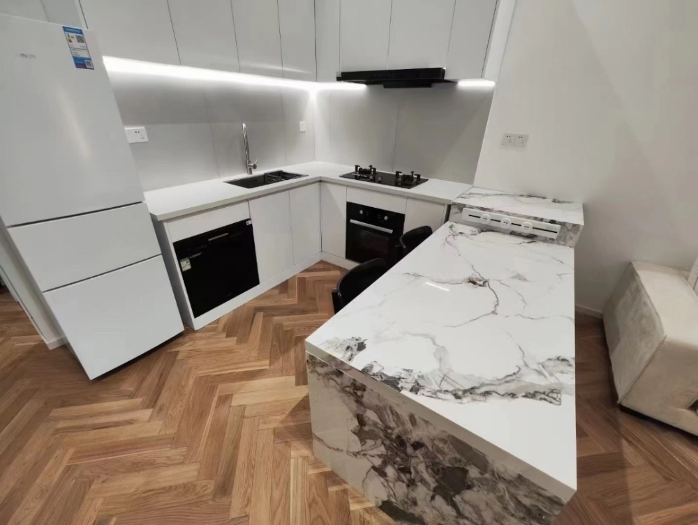 武定路72号401室(4)