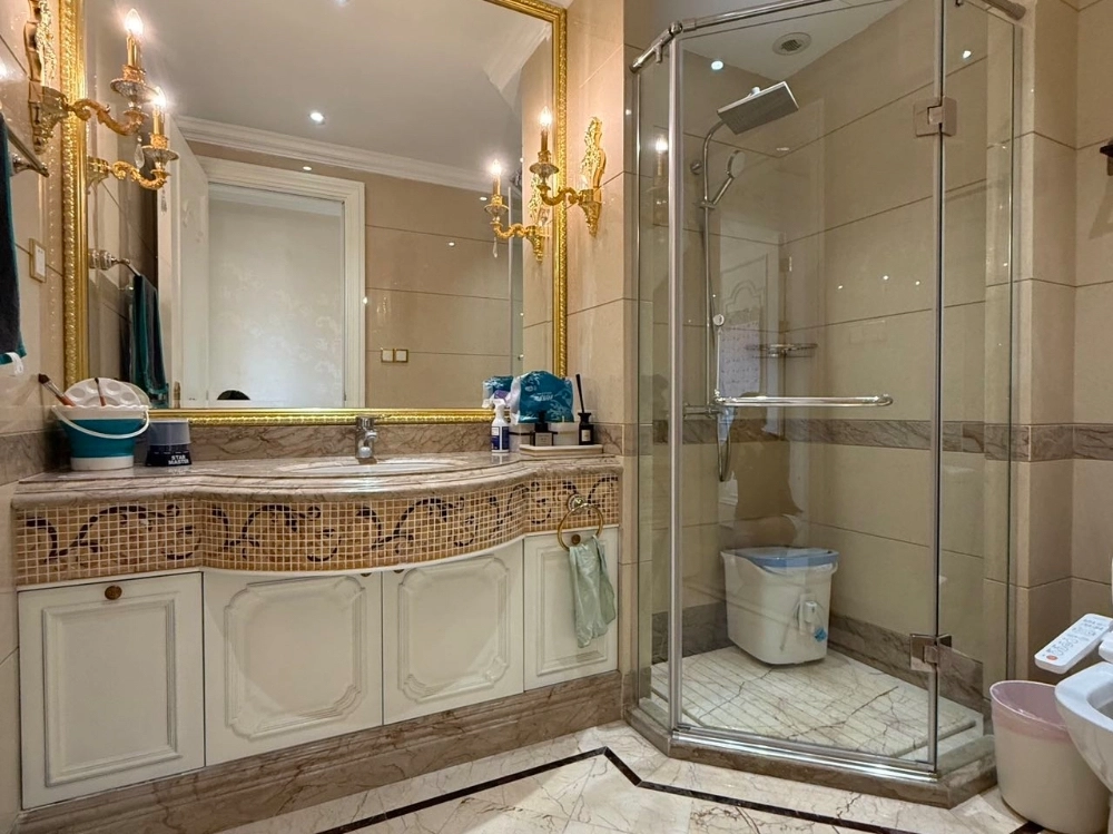 马德里洋房17号901室(12)