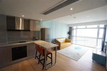 合景誉舍标准1房房型(2)