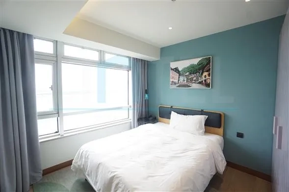 合景誉舍标准1房房型(5)