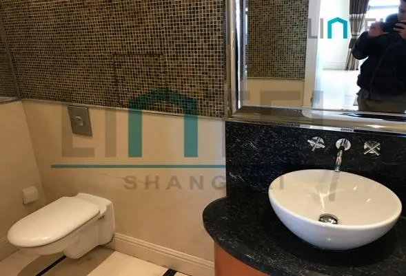 汤臣一品标准大四房户型(29)