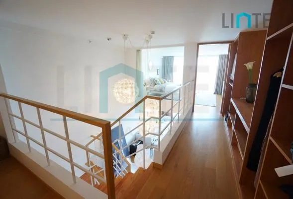 摩尔银月公寓标准大一房Loft户型(4)