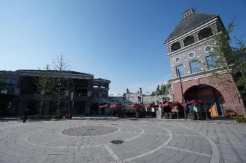 浦西国际学校(4)