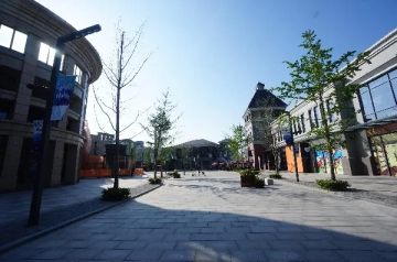 浦西国际学校(6)