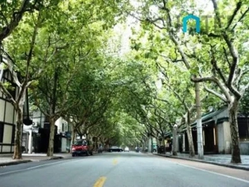 新华路